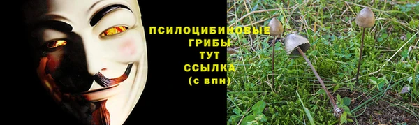 каннабис Надым
