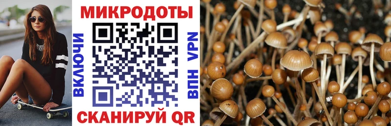 Галлюциногенные грибы Psilocybine cubensis  Купить  Ряжск 